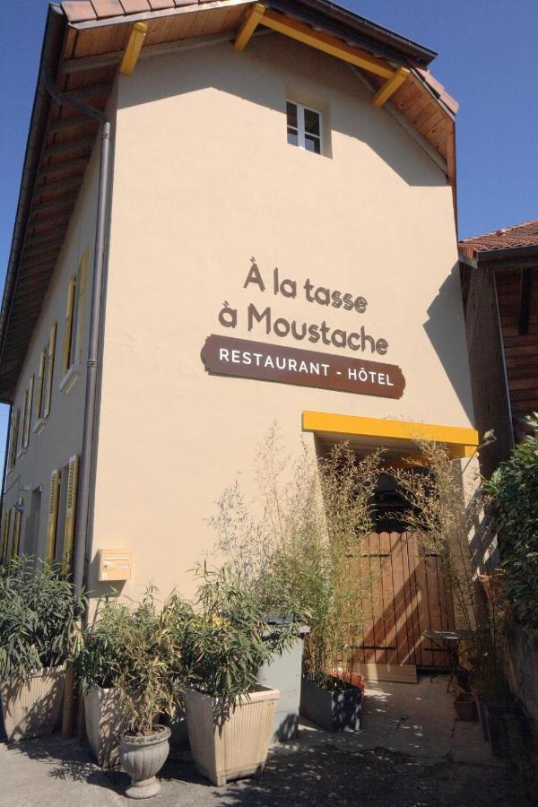 Hotel A La Tasse A Moustache Thonon-les-Bains Eksteriør bilde